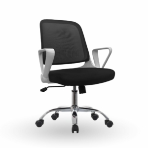 Silla birmania eje